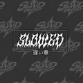 spike SLOWED JDM style windscreen banner