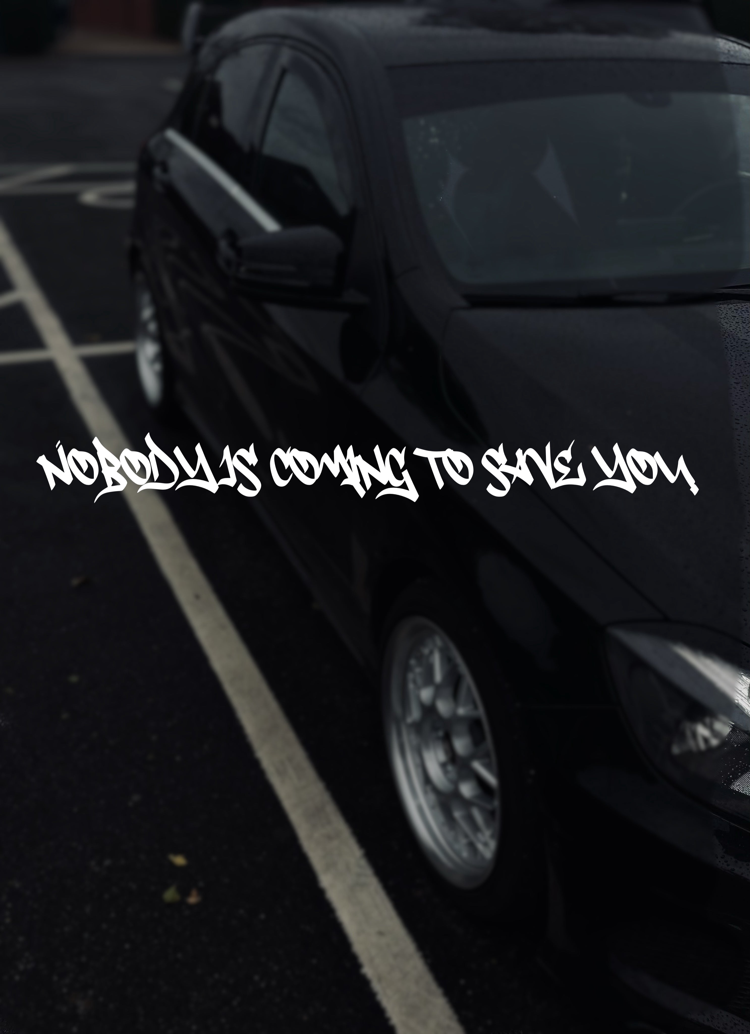 Nobodyiscomingtosaveu windscreen banner